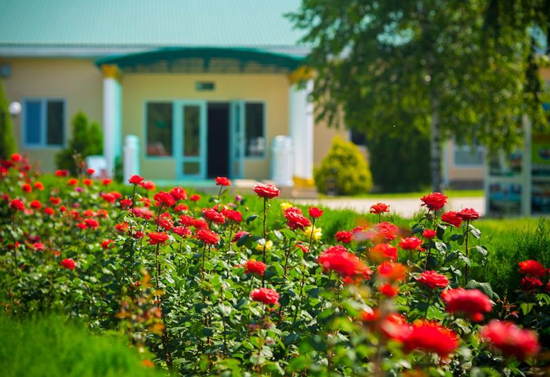 Пансионат "Одиссея"